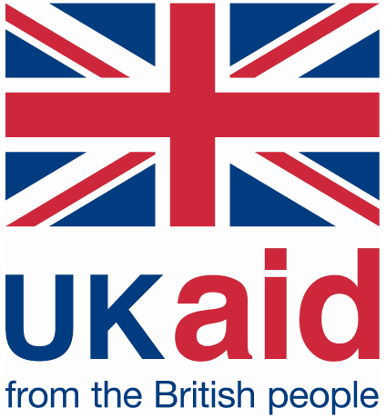 UK aid logo colour to print on A4 or A3