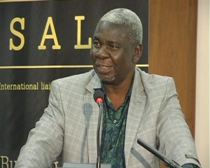 Prof Michelo Hansungule, Centre for Human Rights, University of Pretoria 